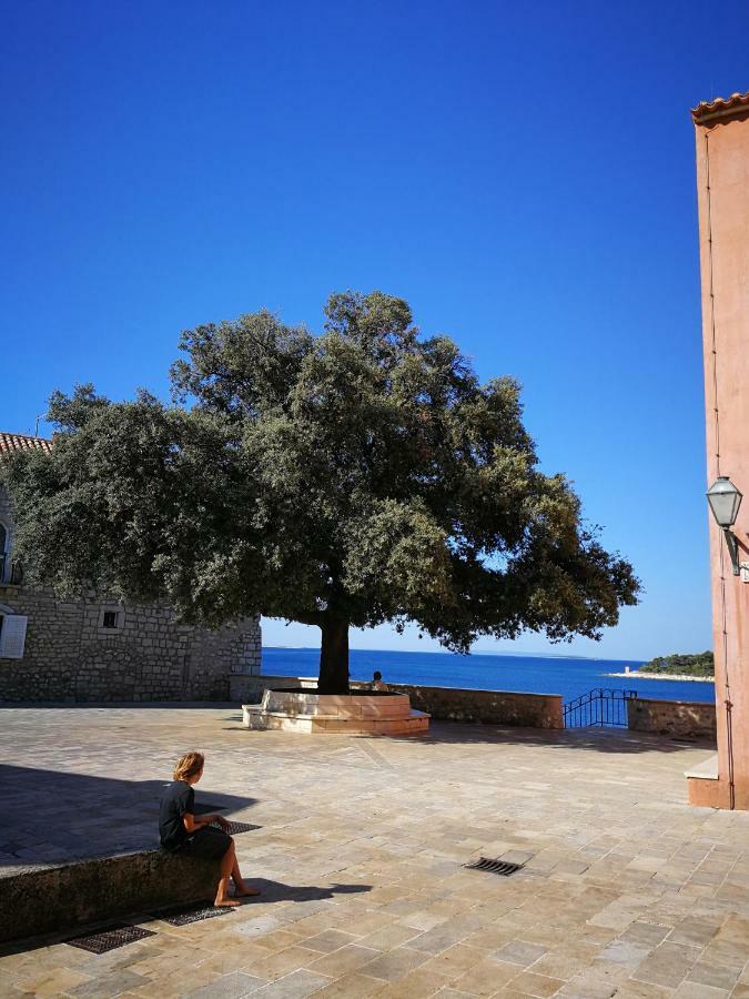 Family Friendly Apartments Island Rab Kampor Buitenkant foto